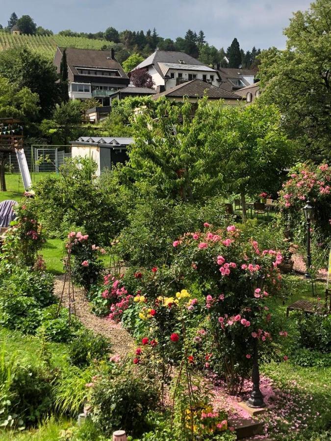 Ferienwohnungen Perlina Karpat Bernkastel-Kues Exterior foto