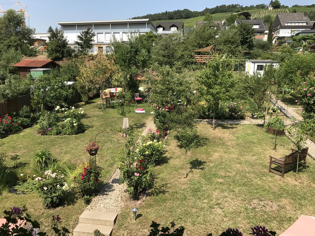 Ferienwohnungen Perlina Karpat Bernkastel-Kues Exterior foto